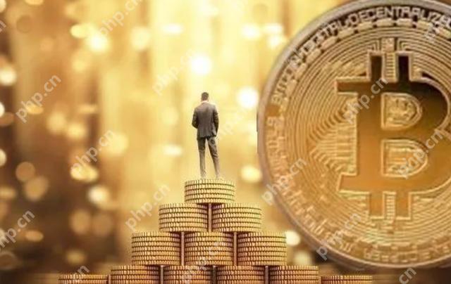 下载币安安卓手机版使用教程 - php中文网